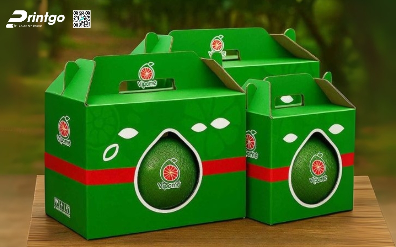 Mẫu bao bì xuất khẩu trái cây bưởi Mẫu bao bì xuất khẩu trái cây bưởi