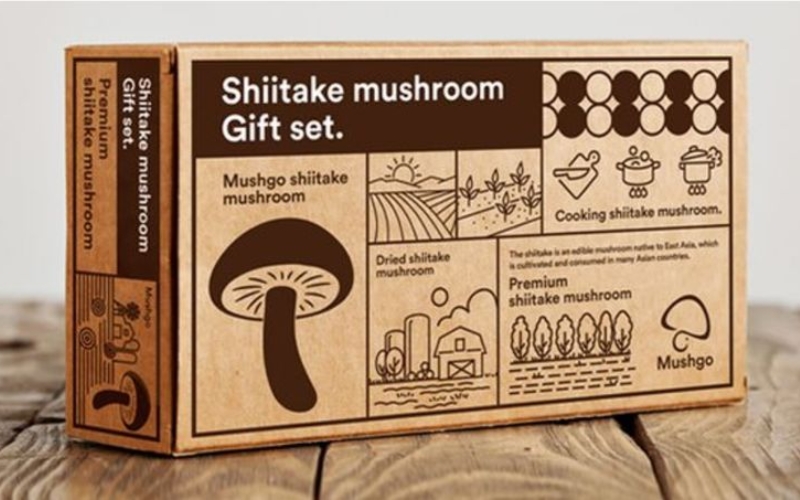 Bao bì đựng nông sản dạng giấy kraft nhiều lớp Bao bì đựng nông sản dạng giấy kraft nhiều lớp