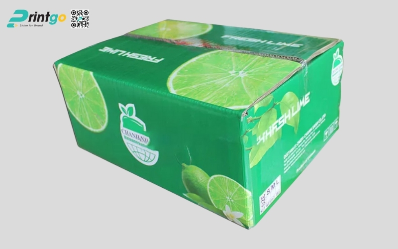 Mẫu bao bì xuất khẩu trái cây chanh Mẫu bao bì xuất khẩu trái cây chanh