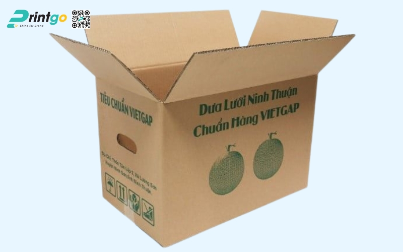 Mẫu thùng carton đựng trái cây xuất khẩu dưa lưới Mẫu thùng carton đựng trái cây xuất khẩu dưa lưới
