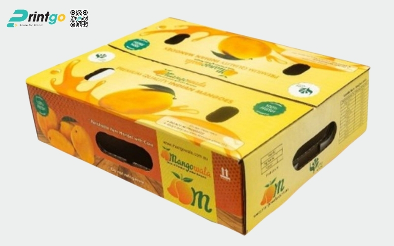 Mẫu thùng carton đựng trái cây xuất khẩu xoài Mẫu thùng carton đựng trái cây xuất khẩu xoài
