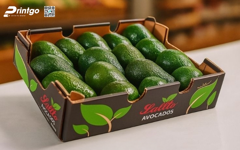 Mẫu thùng giấy đựng trái cây xuất khẩu bơ Mẫu thùng giấy đựng trái cây xuất khẩu bơ