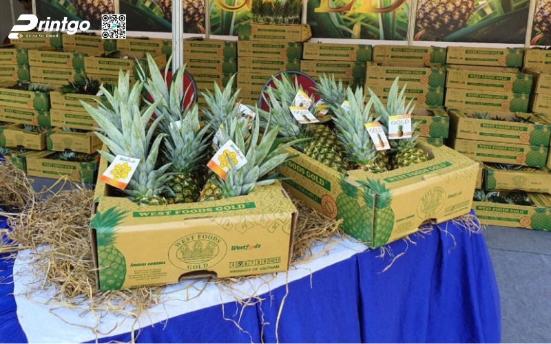 Mẫu thùng giấy đựng trái cây xuất khẩu dứa Mẫu thùng giấy đựng trái cây xuất khẩu dứa