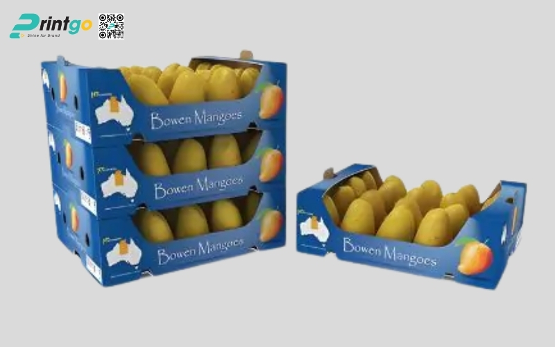 Mẫu thùng carton đựng trái cây xuất khẩu xoài Mẫu thùng carton đựng trái cây xuất khẩu xoài
