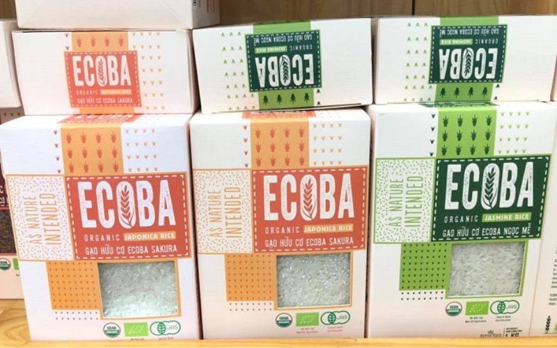 Mẫu hộp đựng gạo thiết kế sang trọng - cao cấp Mẫu hộp đựng gạo thiết kế sang trọng - cao cấp