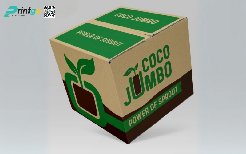 Mẫu thùng đựng dừa tươi xuất khẩu Mẫu thùng đựng dừa tươi xuất khẩu