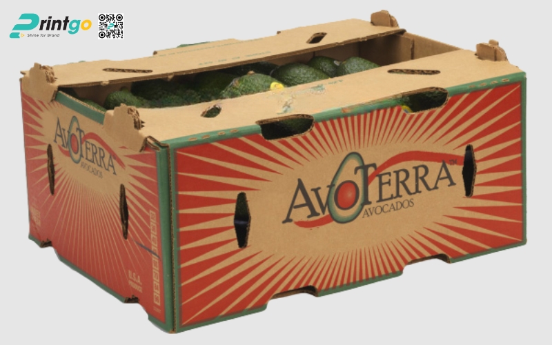 Mẫu thùng giấy đựng trái cây xuất khẩu bơ Mẫu thùng giấy đựng trái cây xuất khẩu bơ