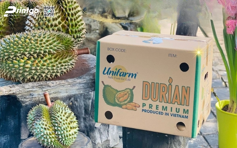 Mẫu thùng carton đựng trái cây xuất khẩu sầu riêng Mẫu thùng carton đựng trái cây xuất khẩu sầu riêng