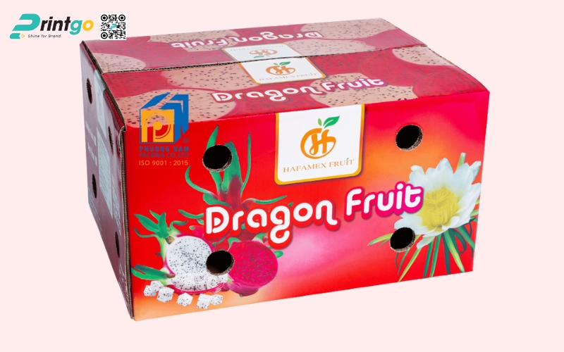 Mẫu bao bì xuất khẩu trái cây thanh long Mẫu bao bì xuất khẩu trái cây thanh long