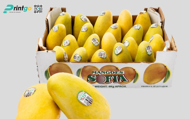 Mẫu thùng carton đựng trái cây xuất khẩu xoài Mẫu thùng carton đựng trái cây xuất khẩu xoài