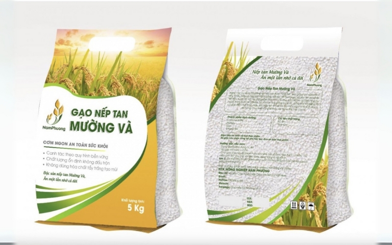 Mẫu in bao bì gạo 5kg - 10kg phổ biến cho hộ kinh doanh nhỏ Mẫu in bao bì gạo 5kg - 10kg phổ biến cho hộ kinh doanh nhỏ