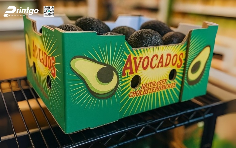 Mẫu thùng giấy đựng trái cây xuất khẩu bơ Mẫu thùng giấy đựng trái cây xuất khẩu bơ