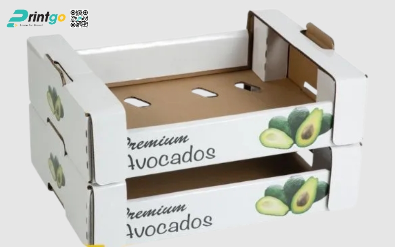 Mẫu thùng giấy đựng trái cây xuất khẩu bơ Mẫu thùng giấy đựng trái cây xuất khẩu bơ