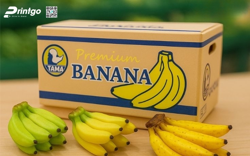 Mẫu bao bì xuất khẩu trái cây chuối Mẫu bao bì xuất khẩu trái cây chuối