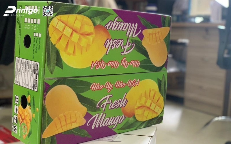 Mẫu thùng carton đựng trái cây xuất khẩu xoài Mẫu thùng carton đựng trái cây xuất khẩu xoài