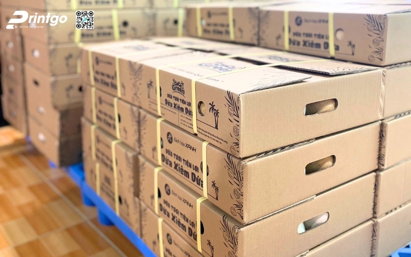 Mẫu thùng đựng dừa tươi xuất khẩu đạt chuẩn quốc tế Mẫu thùng đựng dừa tươi xuất khẩu đạt chuẩn quốc tế