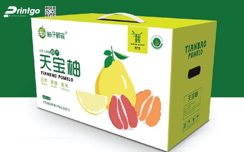 Mẫu bao bì xuất khẩu trái cây bưởi Mẫu bao bì xuất khẩu trái cây bưởi