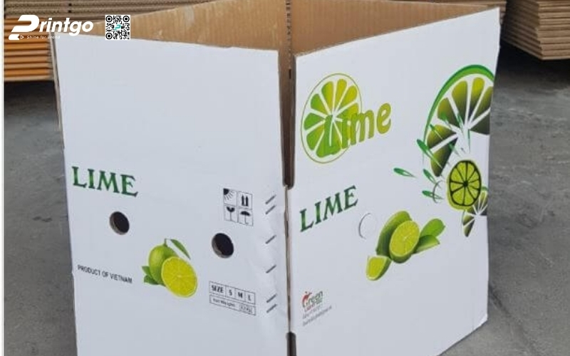 Mẫu bao bì xuất khẩu trái cây chanh Mẫu bao bì xuất khẩu trái cây chanh
