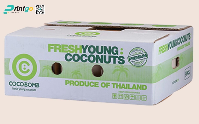 Mẫu thùng giấy đựng trái cây xuất khẩu dừa Mẫu thùng giấy đựng trái cây xuất khẩu dừa