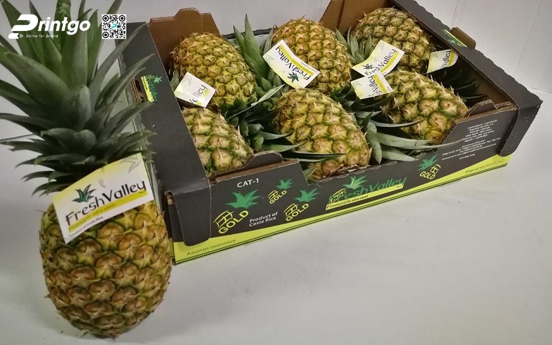 Mẫu thùng giấy đựng trái cây xuất khẩu dứa Mẫu thùng giấy đựng trái cây xuất khẩu dứa