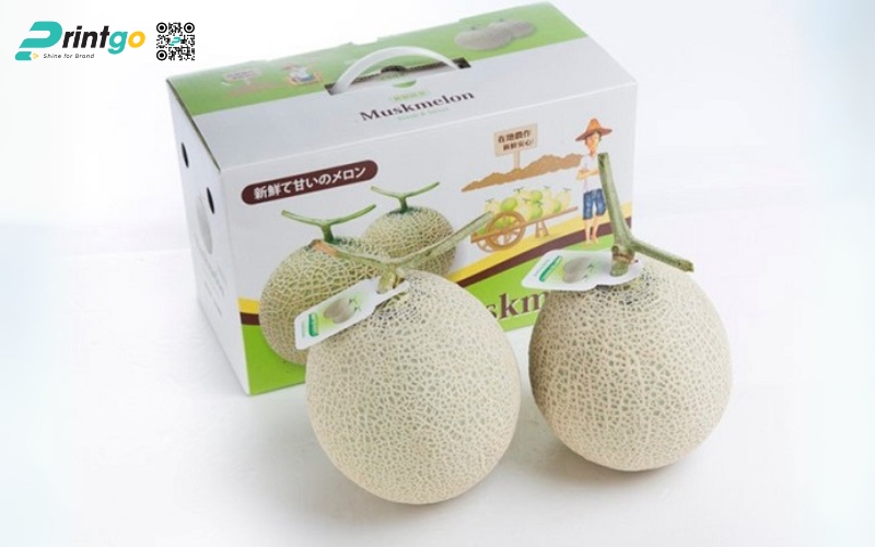 Mẫu thùng carton đựng trái cây xuất khẩu dưa lưới Mẫu thùng carton đựng trái cây xuất khẩu dưa lưới