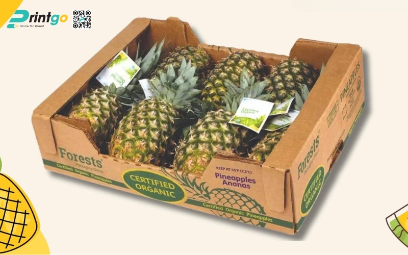 Mẫu thùng giấy đựng trái cây xuất khẩu dứa Mẫu thùng giấy đựng trái cây xuất khẩu dứa