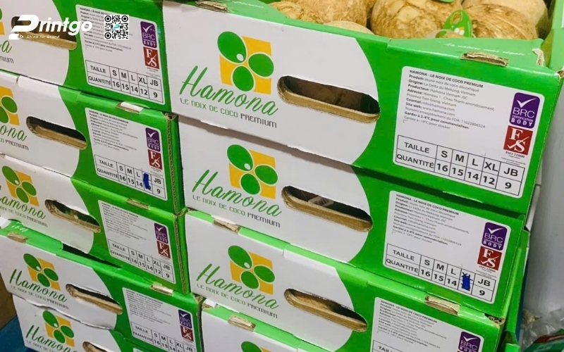 Mẫu thùng đựng dừa tươi xuất khẩu đạt chuẩn quốc tế 2026 Mẫu thùng đựng dừa tươi xuất khẩu đạt chuẩn quốc tế 2026