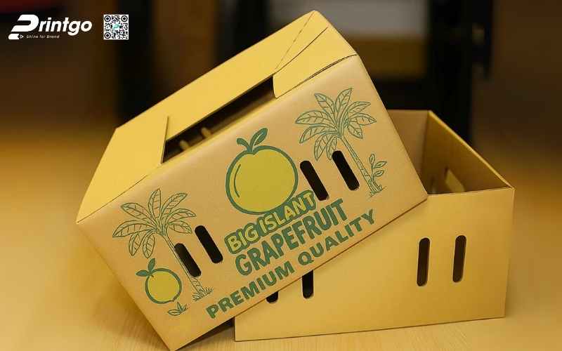 Mẫu bao bì xuất khẩu trái cây bưởi Mẫu bao bì xuất khẩu trái cây bưởi
