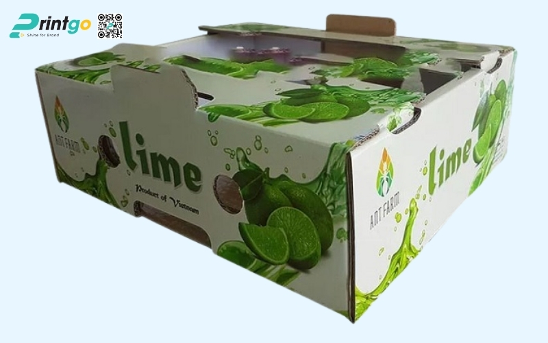 Mẫu bao bì xuất khẩu trái cây chanh Mẫu bao bì xuất khẩu trái cây chanh