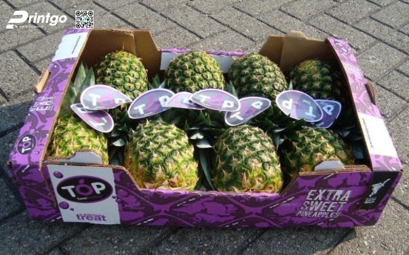 Mẫu thùng giấy đựng trái cây xuất khẩu dứa Mẫu thùng giấy đựng trái cây xuất khẩu dứa