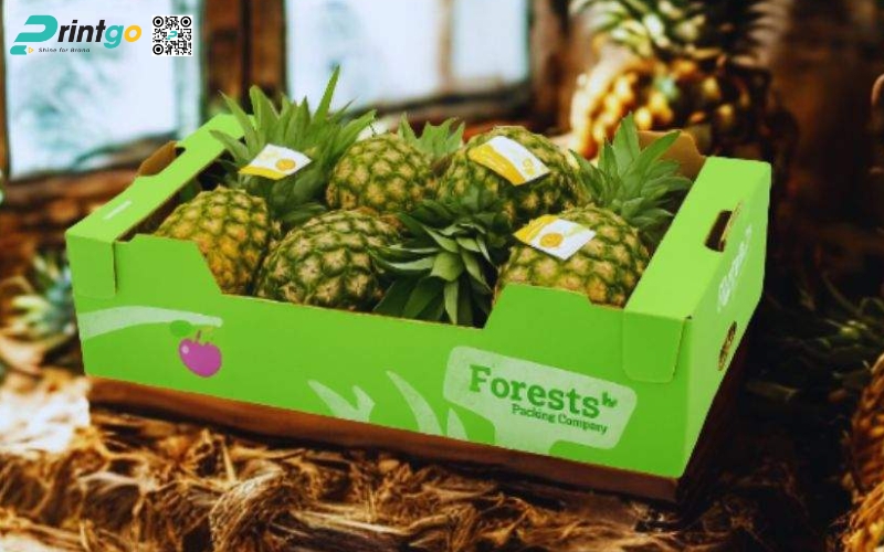 Mẫu thùng giấy đựng trái cây xuất khẩu dứa Mẫu thùng giấy đựng trái cây xuất khẩu dứa
