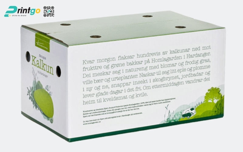 Mẫu thùng đựng dừa tươi xuất khẩu đạt chuẩn quốc tế 2026 Mẫu thùng đựng dừa tươi xuất khẩu đạt chuẩn quốc tế 2026