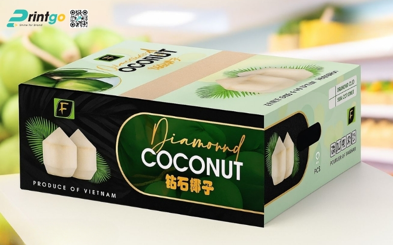 Mẫu thùng đựng dừa tươi xuất khẩu đạt chuẩn quốc tế 2026 Mẫu thùng đựng dừa tươi xuất khẩu đạt chuẩn quốc tế 2026