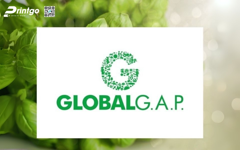 Những chứng chỉ đánh giá thùng dừa tươi xuất khẩu đạt chuẩn Những chứng chỉ đánh giá thùng dừa tươi xuất khẩu đạt chuẩn