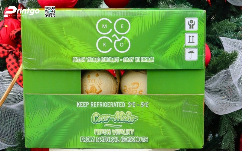 Mẫu thùng đựng dừa tươi xuất khẩu đạt chuẩn quốc tế 2026 Mẫu thùng đựng dừa tươi xuất khẩu đạt chuẩn quốc tế 2026