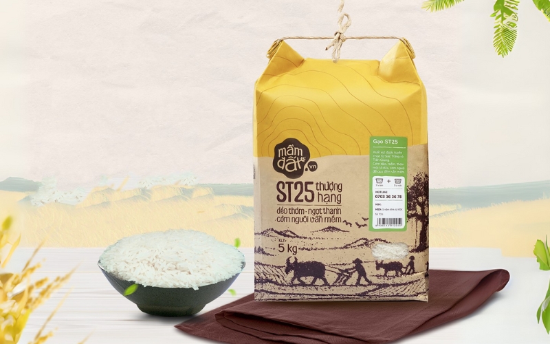 Mẫu in bao bì gạo 5kg - 10kg phổ biến cho hộ kinh doanh nhỏ Mẫu in bao bì gạo 5kg - 10kg phổ biến cho hộ kinh doanh nhỏ
