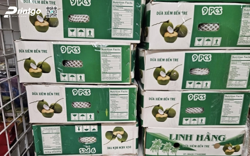 Mẫu thùng đựng dừa tươi xuất khẩu đạt chuẩn quốc tế 2026 Mẫu thùng đựng dừa tươi xuất khẩu đạt chuẩn quốc tế 2026