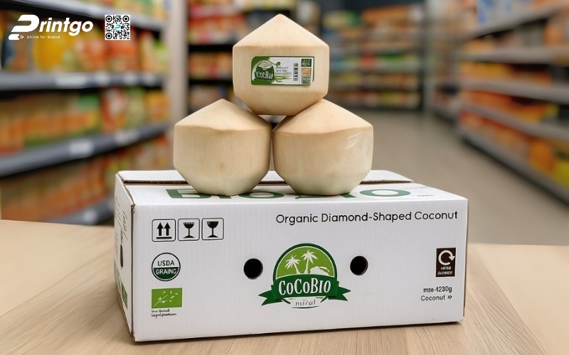 Mẫu thùng giấy đựng trái cây xuất khẩu dừa Mẫu thùng giấy đựng trái cây xuất khẩu dừa