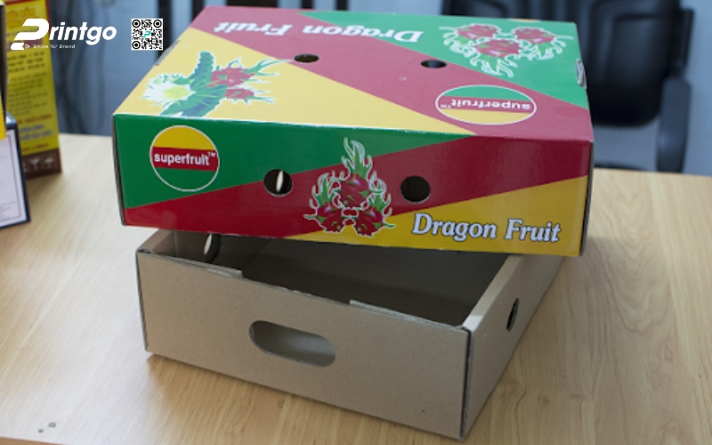 Mẫu bao bì xuất khẩu trái cây thanh long Mẫu bao bì xuất khẩu trái cây thanh long