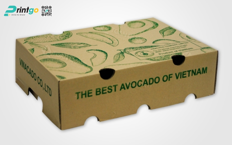 Mẫu thùng giấy đựng trái cây xuất khẩu bơ Mẫu thùng giấy đựng trái cây xuất khẩu bơ