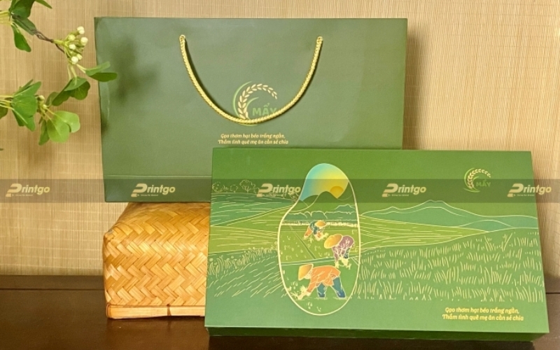 Mẫu hộp đựng gạo thiết kế sang trọng - cao cấp Mẫu hộp đựng gạo thiết kế sang trọng - cao cấp