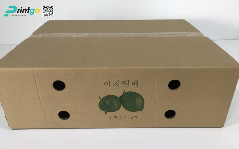 Mẫu thùng carton đựng dừa xiêm xuất khẩu Mẫu thùng carton đựng dừa xiêm xuất khẩu