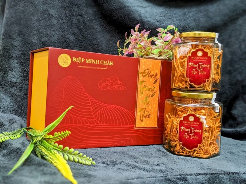 Mẫu hộp đông trùng hạ thảo thiết kế tinh tế Mẫu hộp đông trùng hạ thảo thiết kế tinh tế