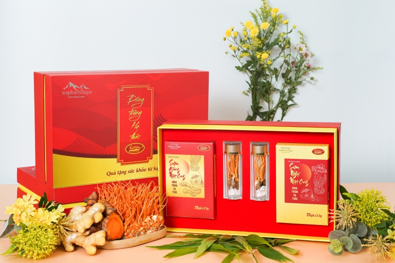 Chất liệu in hộp đông trùng hạ thảo Chất liệu in hộp đông trùng hạ thảo