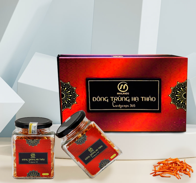 Mẫu hộp đông trùng hạ thảo thu hút khách hàng Mẫu hộp đông trùng hạ thảo thu hút khách hàng