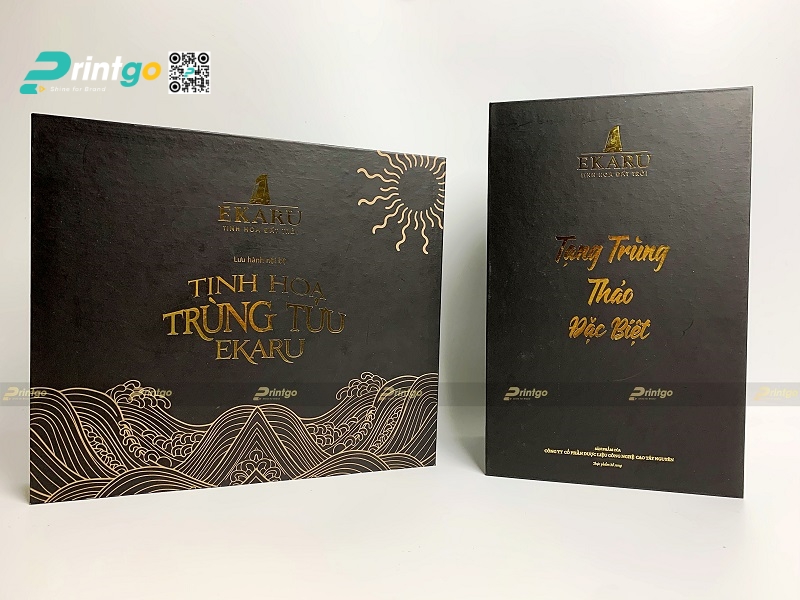 Mẫu hộp đông trùng hạ thảo thiết kế đẹp mắt Mẫu hộp đông trùng hạ thảo thiết kế đẹp mắt