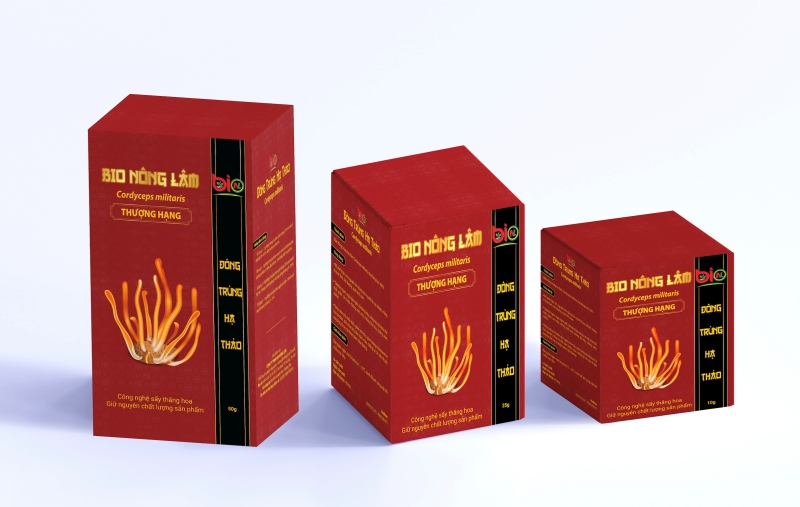 Công nghệ in hộp đông trùng hạ thảo Công nghệ in hộp đông trùng hạ thảo