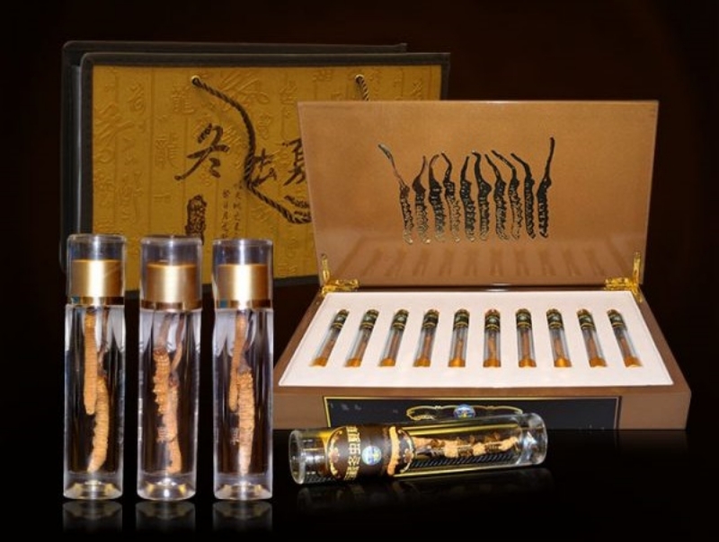 Mẫu hộp đông trùng hạ thảo tiết kiệm chi phí Mẫu hộp đông trùng hạ thảo tiết kiệm chi phí