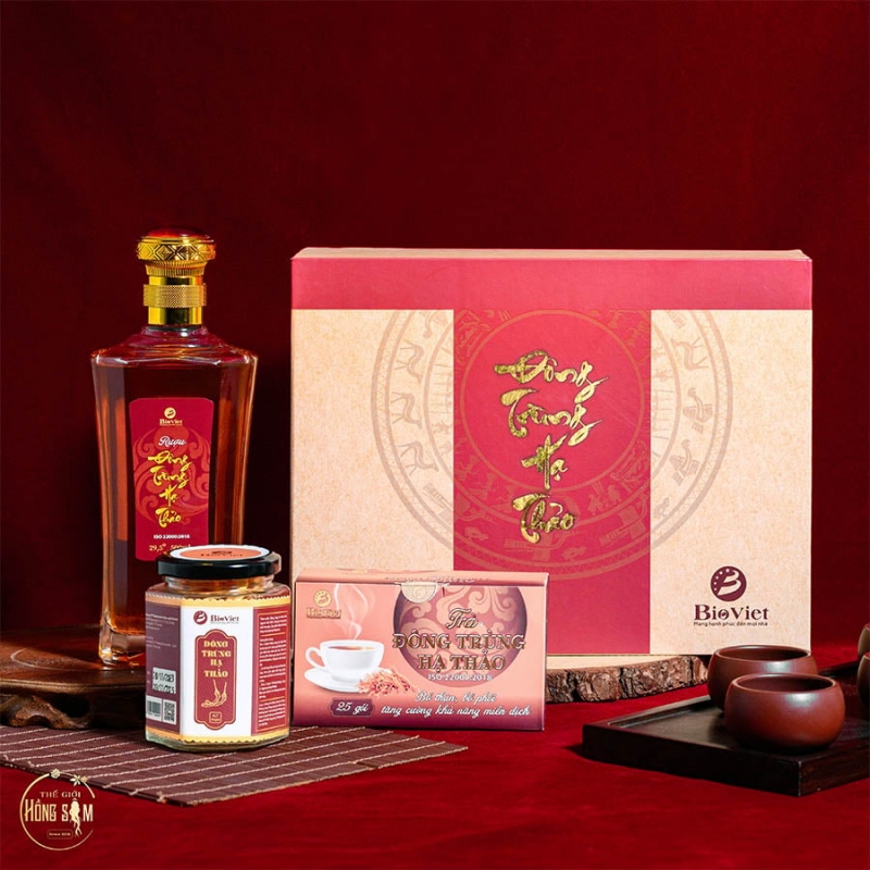 Mẫu hộp đông trùng hạ thảo quà tặng sức khỏe Mẫu hộp đông trùng hạ thảo quà tặng sức khỏe