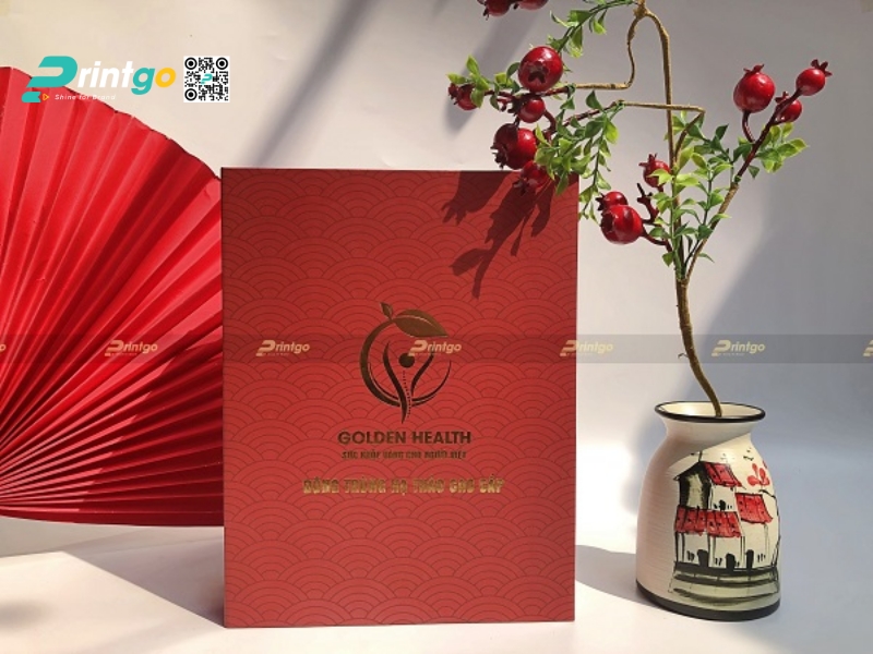 Mẫu hộp đông trùng hạ thảo sang trọng Mẫu hộp đông trùng hạ thảo sang trọng